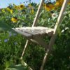 CHAISE DE JARDIN-CHAISE PLIANTE EN BOIS MASSIF-JARDIN-CHAISE-BOIS MASSIF-MOBILIER JARDIN-BOIS FRANCAIS-GARDEN K-GARDEN