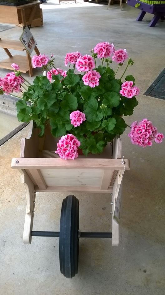 Capture.JPG 2 LA BROUETTE BOIS-JARDINAGE-GARDEN K-RIDELLES AMOVIBLES